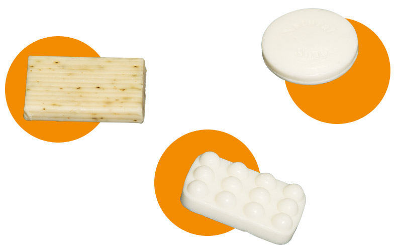 Doğayla Barışık, Geleceğe Odaklı Konaklama Deneyimi